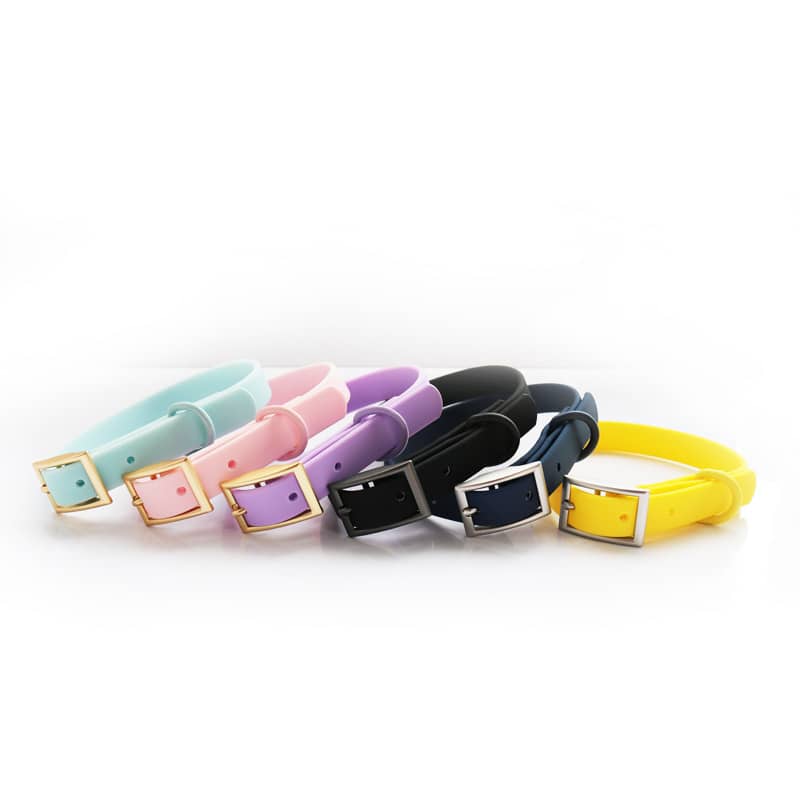 dog harness
